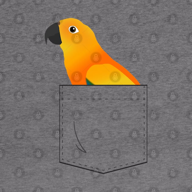 Sun Conure Parrot In Your Front Pocket by Einstein Parrot